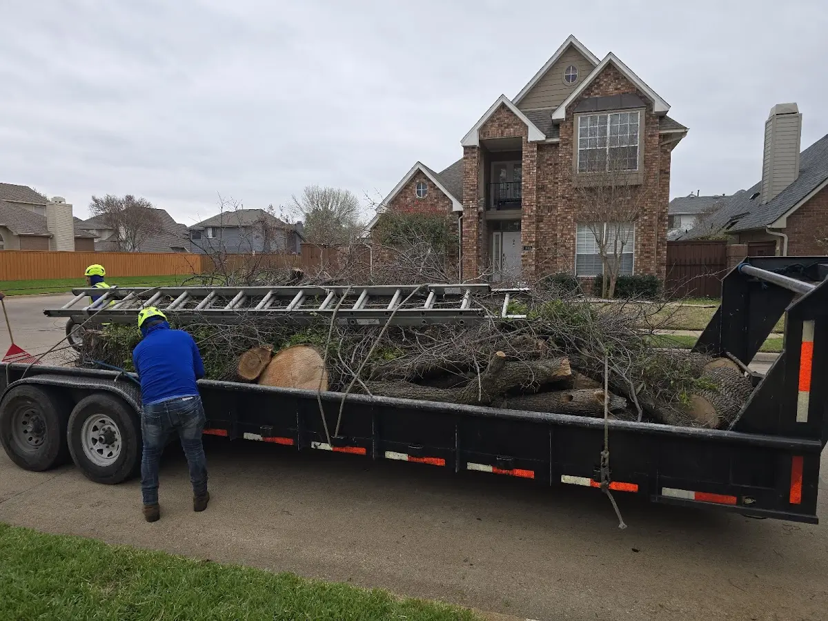 Expert Lot Clearing with proper safety equipment in Willow Grove
